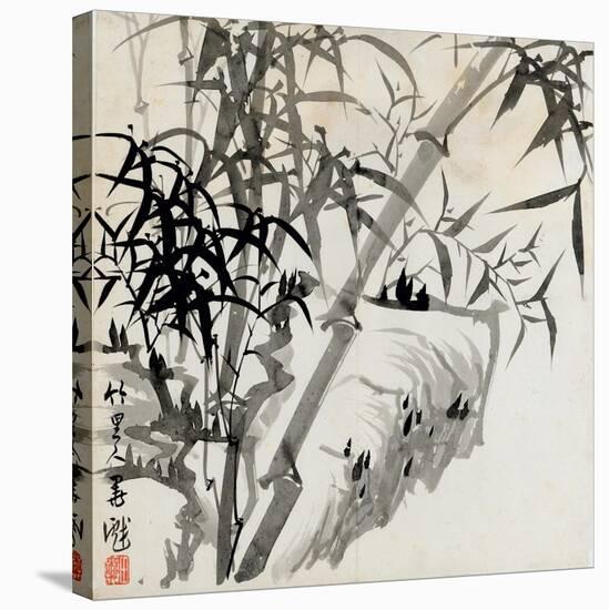 Leaf C, from 'tian Jingzhai Mozhu Ce', from Rugao, Jiangsu Province-Rang Tian-Stretched Canvas