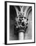 Leaf Capital-null-Framed Photographic Print