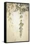 Leaf Cascade-Liz Jardine-Framed Stretched Canvas