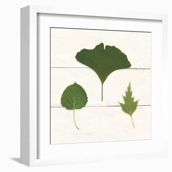 Leaf Chart IV Shiplap-Wild Apple Portfolio-Framed Art Print