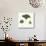 Leaf Chart IV Shiplap-Wild Apple Portfolio-Stretched Canvas displayed on a wall