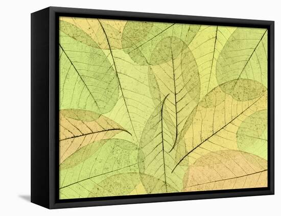 Leaf Collage I-Kathy Mahan-Framed Stretched Canvas