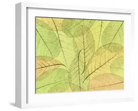 Leaf Collage I-Kathy Mahan-Framed Photographic Print