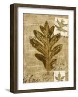 Leaf Collage I-Kate Archie-Framed Art Print