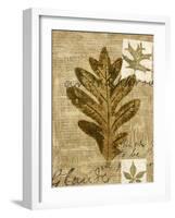 Leaf Collage I-Kate Archie-Framed Art Print