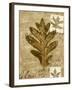 Leaf Collage I-Kate Archie-Framed Art Print