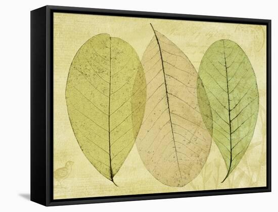 Leaf Collage II-Kathy Mahan-Framed Stretched Canvas