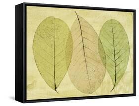 Leaf Collage II-Kathy Mahan-Framed Stretched Canvas