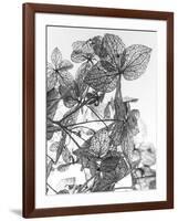 Leaf Composition-Design Fabrikken-Framed Photographic Print