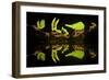 Leaf Cutter Ants (Atta Sp) Female Worker Ants Carry Pieces of Fern Leaves to Nest, Costa Rica-Bence Mate-Framed Premium Photographic Print