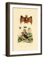 Leaf-Cutting Bee, 1833-39-null-Framed Giclee Print