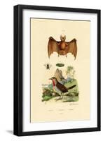 Leaf-Cutting Bee, 1833-39-null-Framed Giclee Print