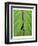 Leaf Design II-Jim Christensen-Framed Art Print