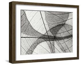 Leaf Designs I BW-Jim Christensen-Framed Photographic Print