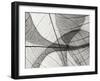 Leaf Designs I BW-Jim Christensen-Framed Photographic Print