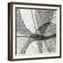 Leaf Designs III BW-Jim Christensen-Framed Photographic Print