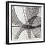 Leaf Designs III BW-Jim Christensen-Framed Photographic Print