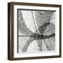 Leaf Designs III BW-Jim Christensen-Framed Premium Photographic Print