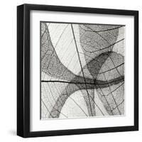 Leaf Designs III BW-Jim Christensen-Framed Premium Photographic Print