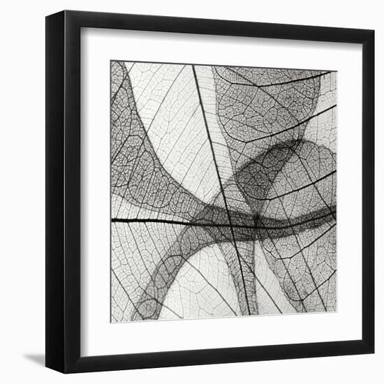 Leaf Designs III BW-Jim Christensen-Framed Premium Photographic Print