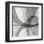 Leaf Designs III BW-Jim Christensen-Framed Premium Photographic Print