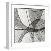 Leaf Designs III BW-Jim Christensen-Framed Premium Photographic Print