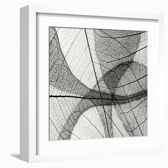 Leaf Designs III BW-Jim Christensen-Framed Premium Photographic Print