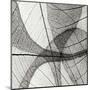 Leaf Designs III BW-Jim Christensen-Mounted Premium Photographic Print