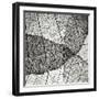 Leaf Designs IV BW-Jim Christensen-Framed Photographic Print