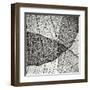 Leaf Designs IV BW-Jim Christensen-Framed Premium Photographic Print