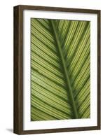 Leaf Detail 1-Erin Berzel-Framed Photographic Print