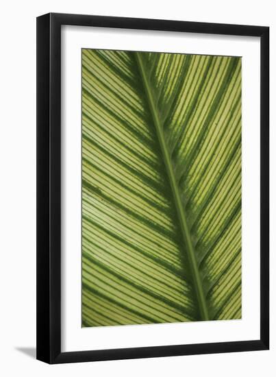 Leaf Detail 1-Erin Berzel-Framed Photographic Print