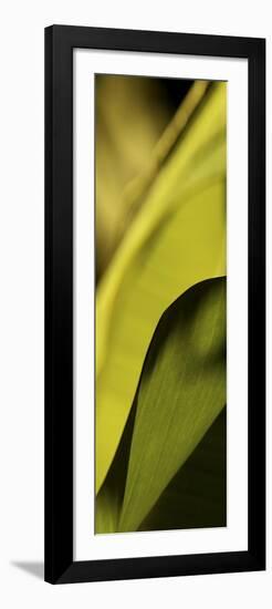 Leaf Detail I-Tang Ling-Framed Premium Giclee Print