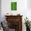 Leaf Dew Drop Number 10-Steve Gadomski-Stretched Canvas displayed on a wall