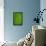 Leaf Dew Drop Number 12-Steve Gadomski-Framed Stretched Canvas displayed on a wall