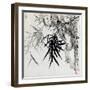 Leaf E, from 'tian Jingzhai Mozhu Ce', from Rugao, Jiangsu Province-Rang Tian-Framed Giclee Print