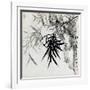 Leaf E, from 'tian Jingzhai Mozhu Ce', from Rugao, Jiangsu Province-Rang Tian-Framed Giclee Print