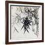 Leaf E, from 'tian Jingzhai Mozhu Ce', from Rugao, Jiangsu Province-Rang Tian-Framed Giclee Print