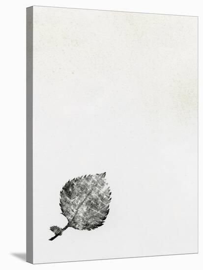 Leaf {Fay-Erie Dust}, 2014-Bella Larsson-Stretched Canvas