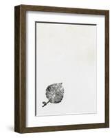 Leaf {Fay-Erie Dust}, 2014-Bella Larsson-Framed Giclee Print