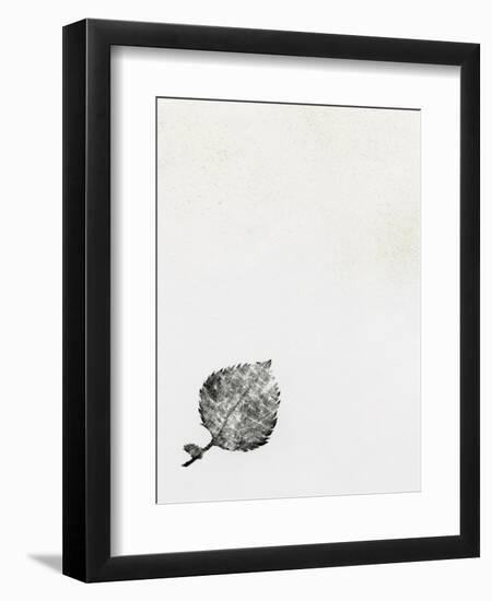 Leaf {Fay-Erie Dust}, 2014-Bella Larsson-Framed Giclee Print