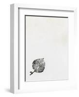 Leaf {Fay-Erie Dust}, 2014-Bella Larsson-Framed Giclee Print