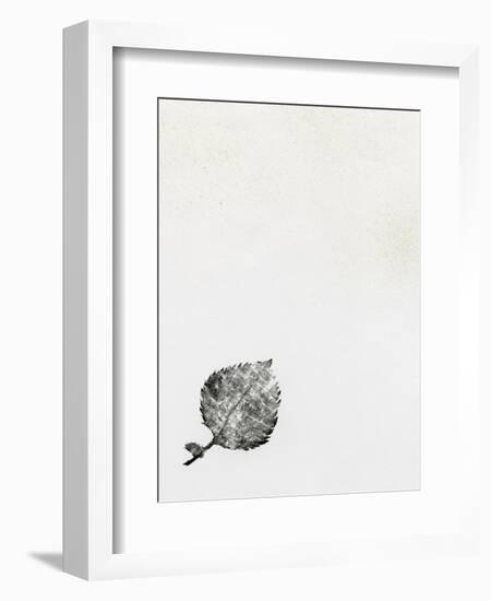 Leaf {Fay-Erie Dust}, 2014-Bella Larsson-Framed Giclee Print