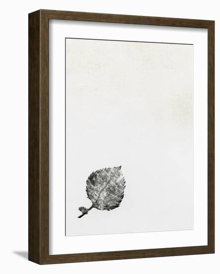 Leaf {Fay-Erie Dust}, 2014-Bella Larsson-Framed Giclee Print