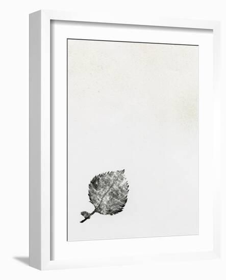 Leaf {Fay-Erie Dust}, 2014-Bella Larsson-Framed Giclee Print