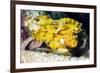 Leaf Fish (Taenianotus Triacanthus)-Louise Murray-Framed Photographic Print