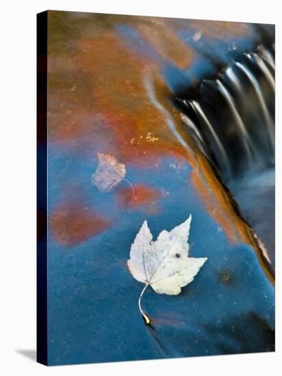 Leaf Floating in Fall Reflections, Bond Falls, Upper Peninsula, Michigan, USA-Nancy Rotenberg-Stretched Canvas