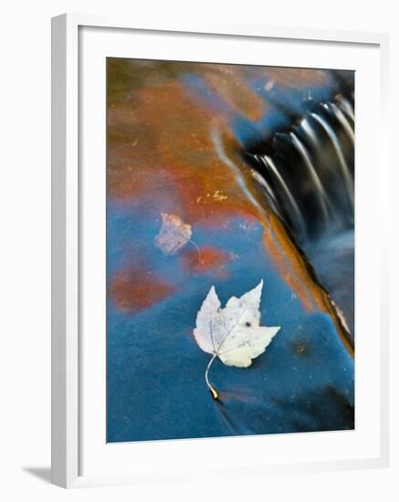 Leaf Floating in Fall Reflections, Bond Falls, Upper Peninsula, Michigan, USA-Nancy Rotenberg-Framed Photographic Print