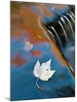 Leaf Floating in Fall Reflections, Bond Falls, Upper Peninsula, Michigan, USA-Nancy Rotenberg-Mounted Photographic Print