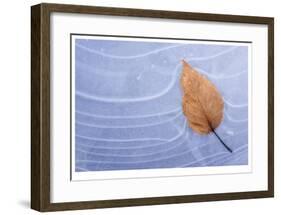 Leaf Frozen in Ice-Donald Paulson-Framed Giclee Print